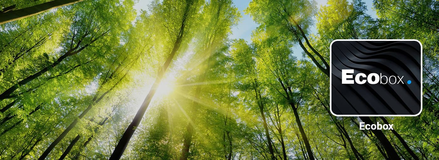 Ecobox-toepassing Zonnig groen bos